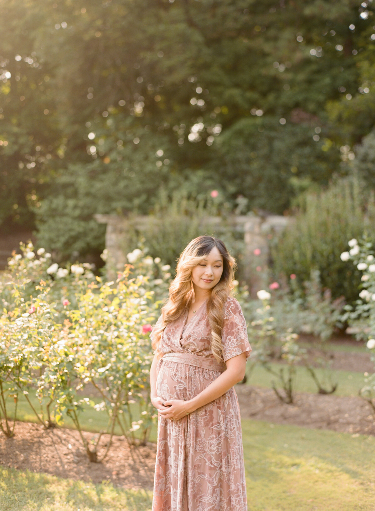 Sunset glow behind an expectant mom at the Raleigh Rose Garden. Image by Raleigh maternity photographer A.J. Dunlap Photography.