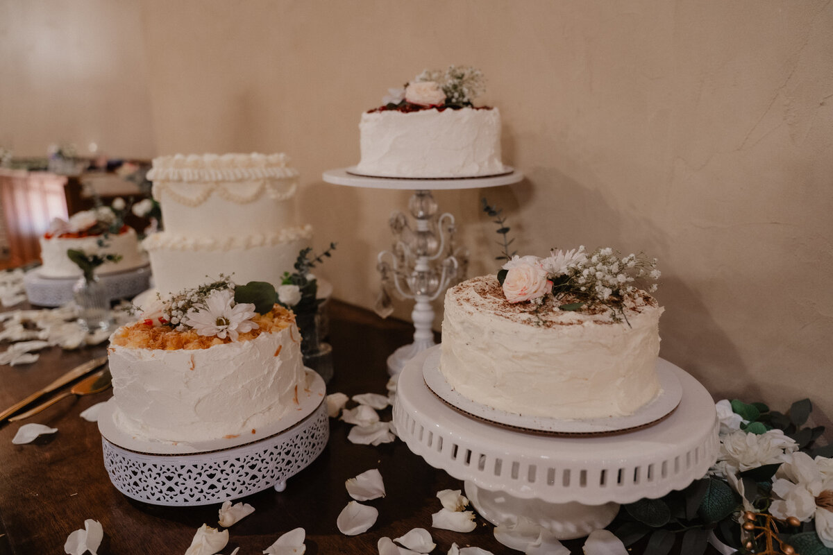 N&TWeddingPreviews-28