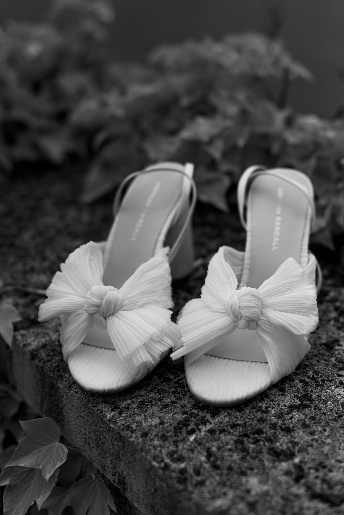 France wedding photographer
