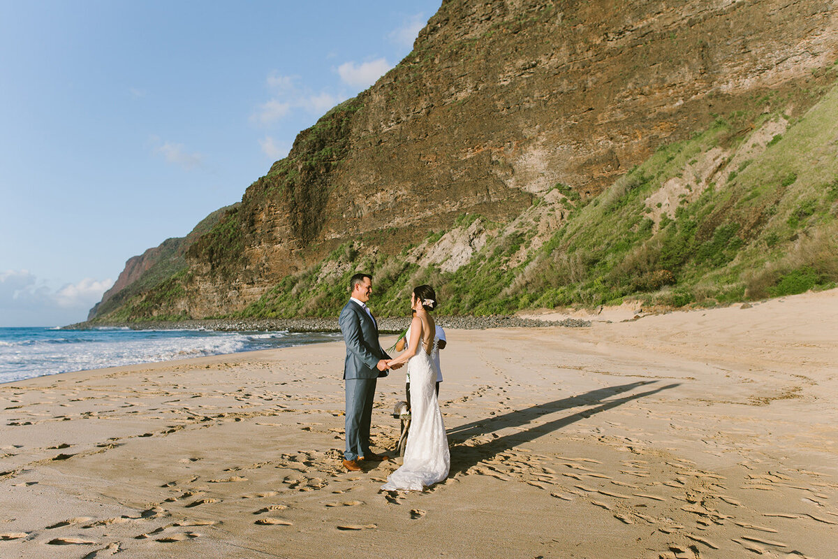 23.03.03_Courtney and Greg_Kauai Elopement_Aly Dove Photography _0466_websize