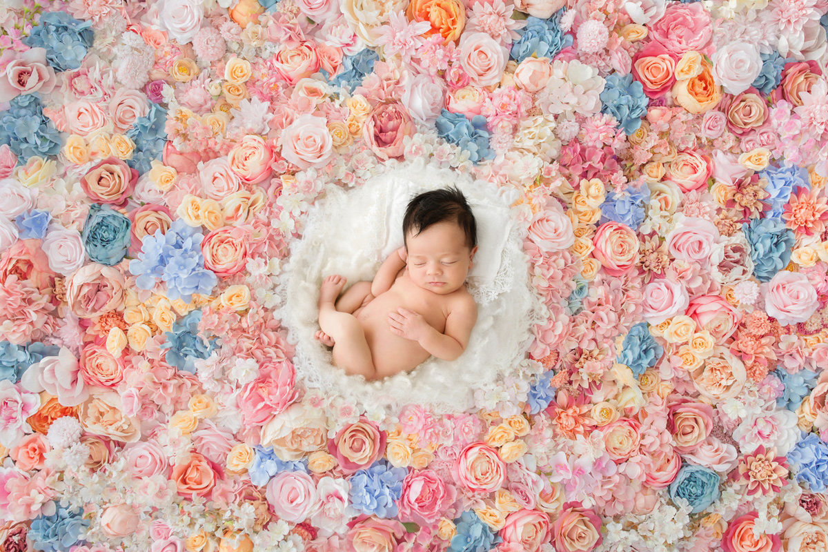 newborn in flowers242