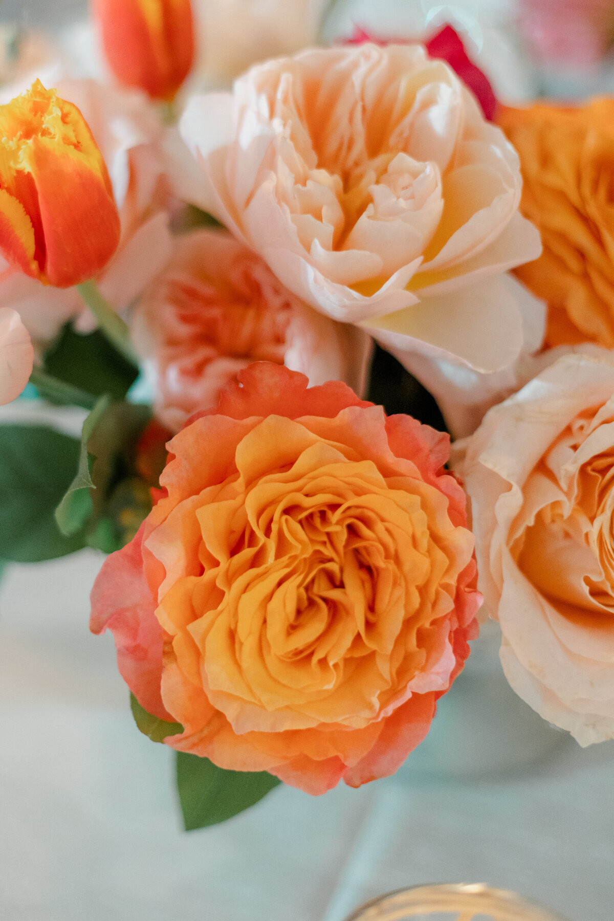 Longboat Key Club Wedding371