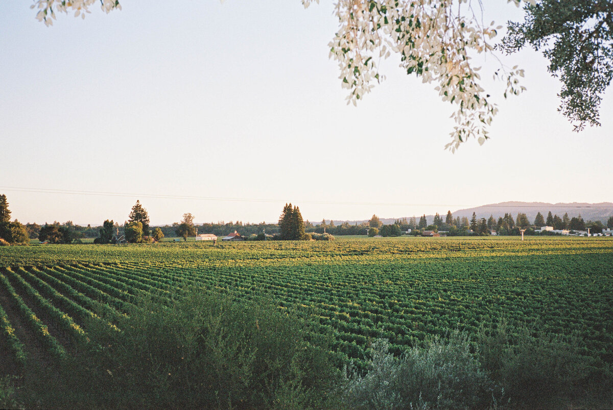 Ru's-Farm-Wedding-Photography-98