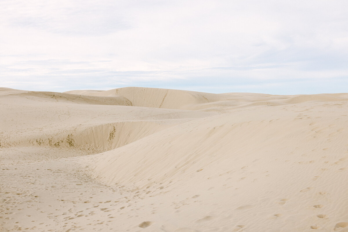 001CoastalDesertEditorialMarithaMae