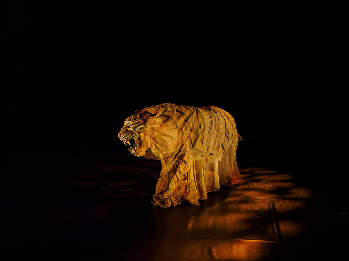 HISTOIRES INVISIBLES Le truculent exode rural des fantômes du Bengale ©Marie Charbonnier-61