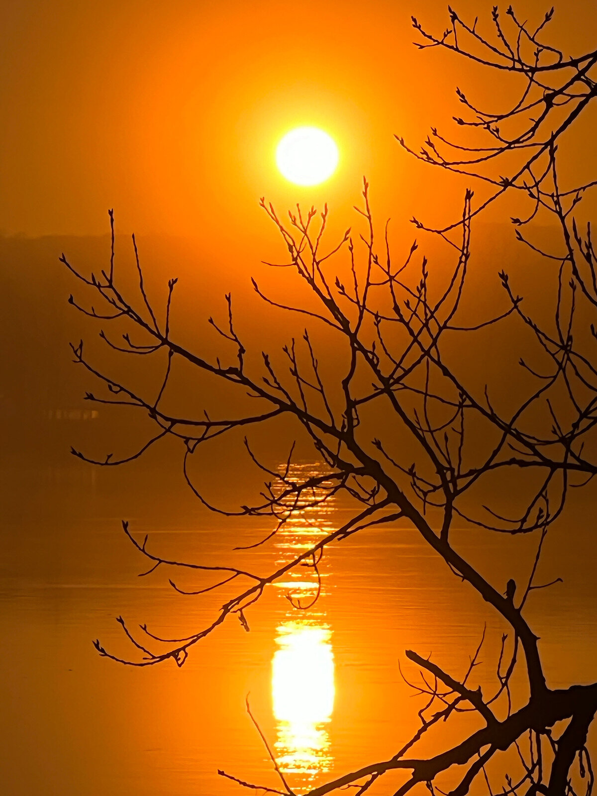 CCC_Estuary_22