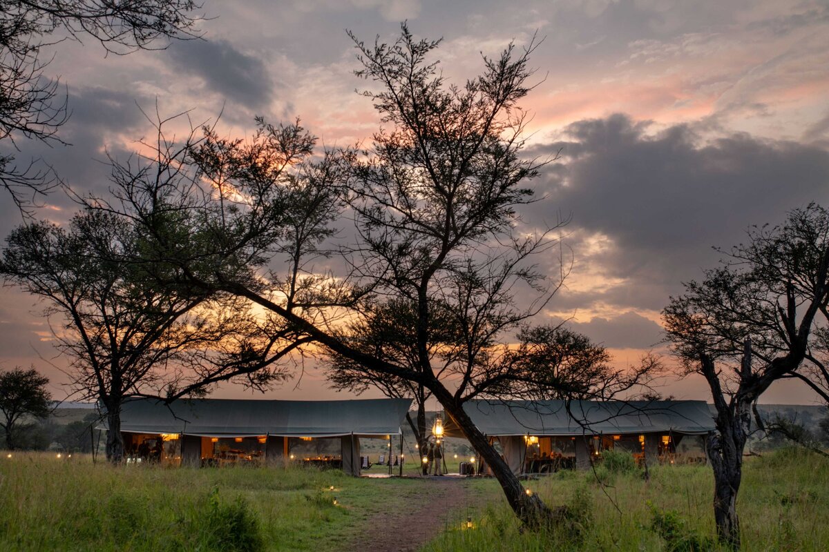 TAASA Migration Camp (40)