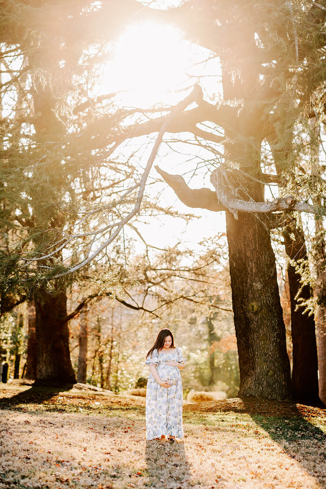 winston-salem-maternity-photographer-1077