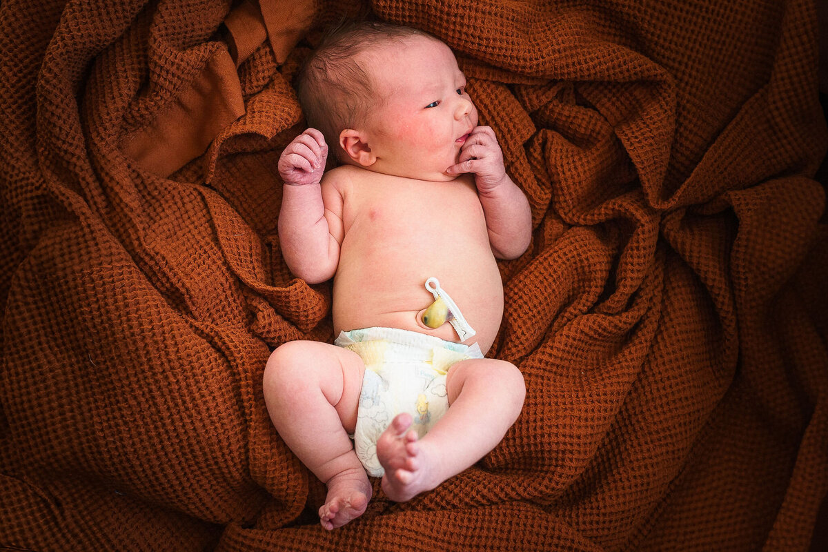 rkady_Brown_Best_Family_Photographer_Metro_Detroit21