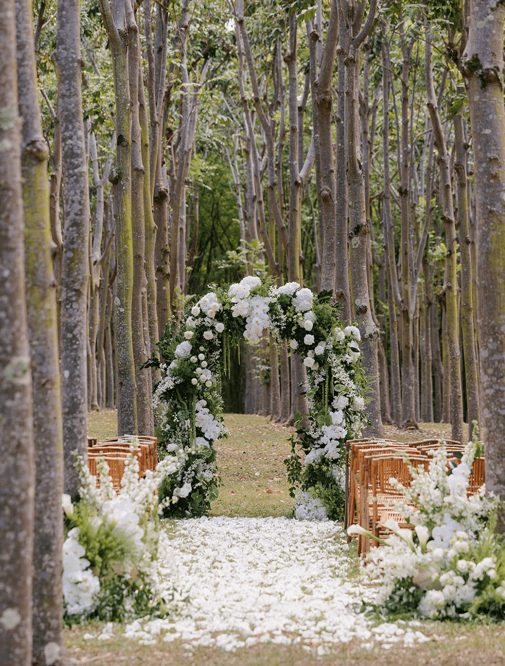 Screenshot 2025-11-25 at 11.54.08 AM