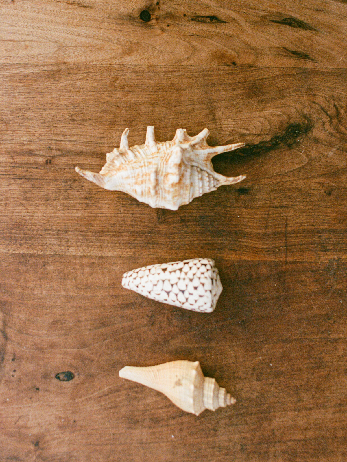 Jenny Losee Photography (47 of 438)