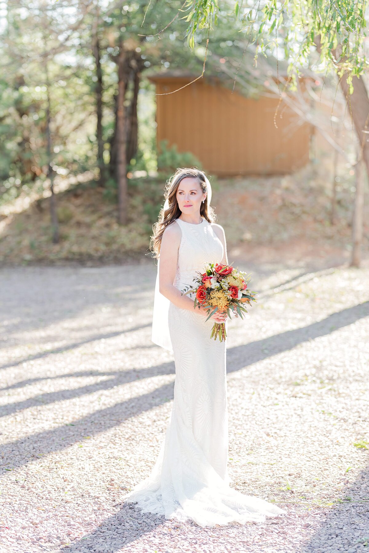 GALLERY-Bride Portraits-35