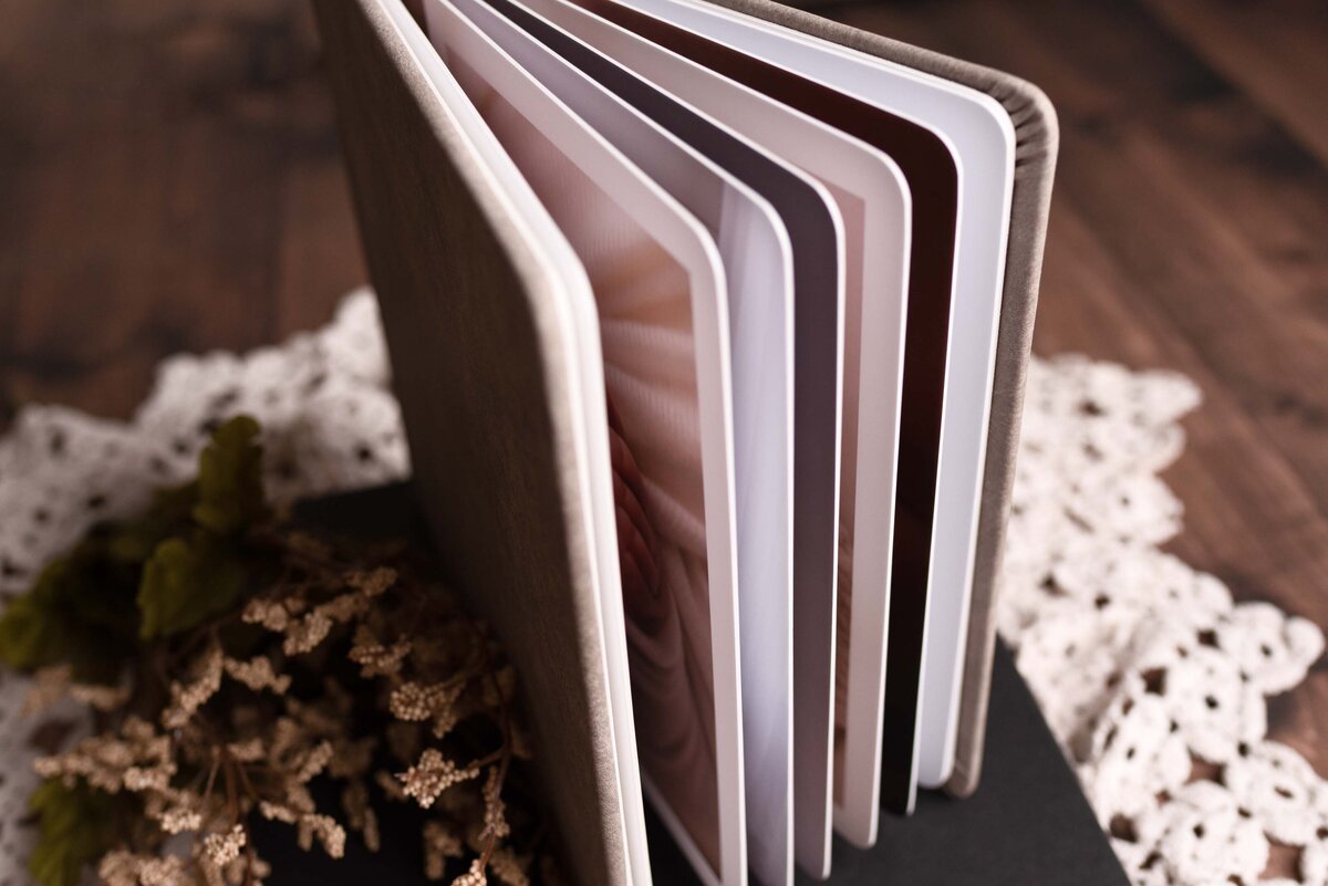 Photo Album Standing Up With Pages Fanned
