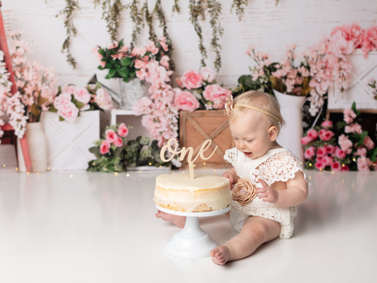 one year old girl cake smash photoshoot