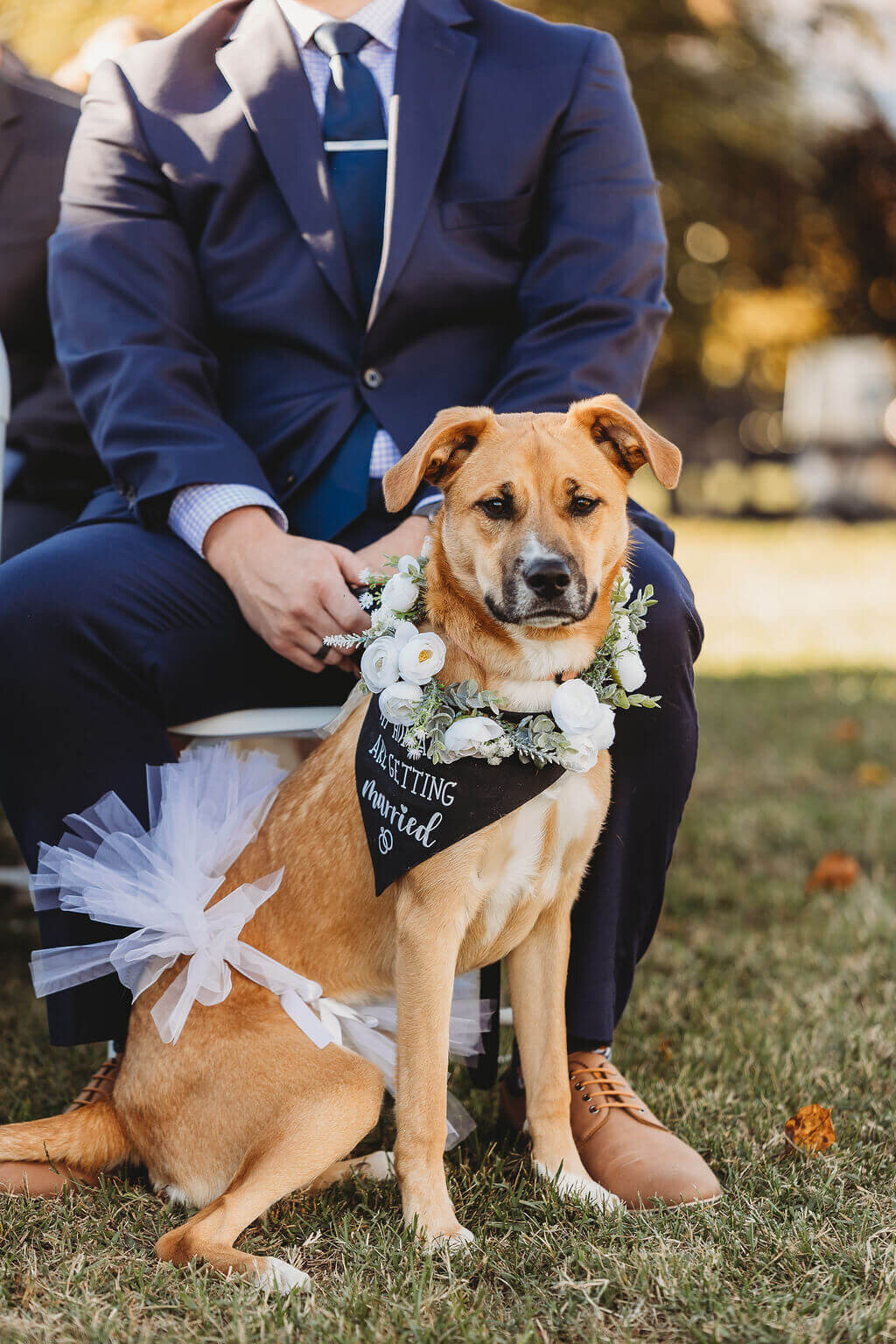 harrisonburg-wedding-photographer-203