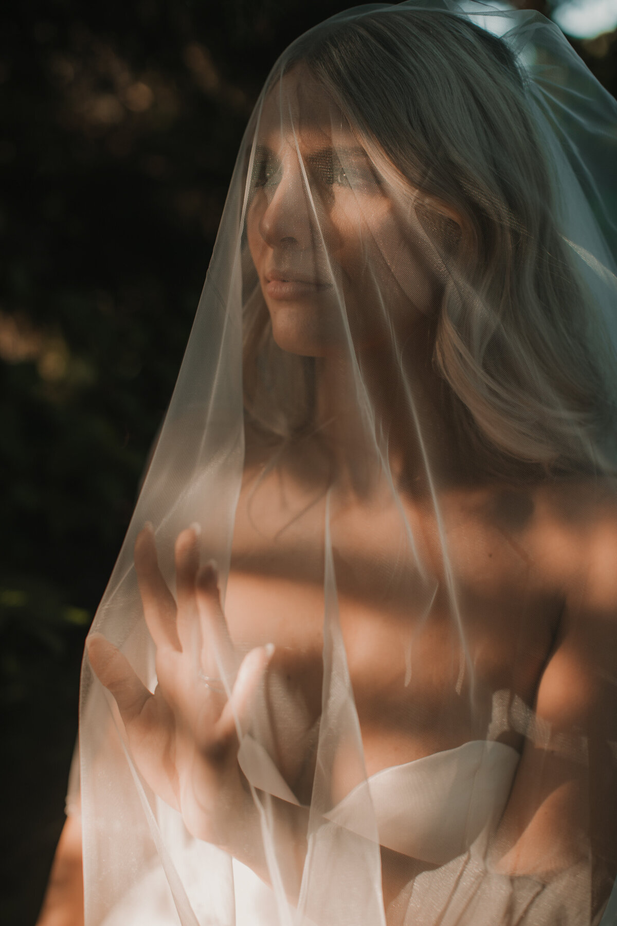 bride under a veil at sunset