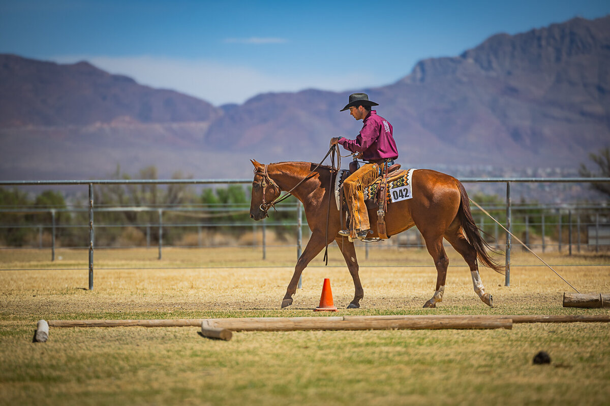 New-Mexico-Horse-Show-Photographer-042