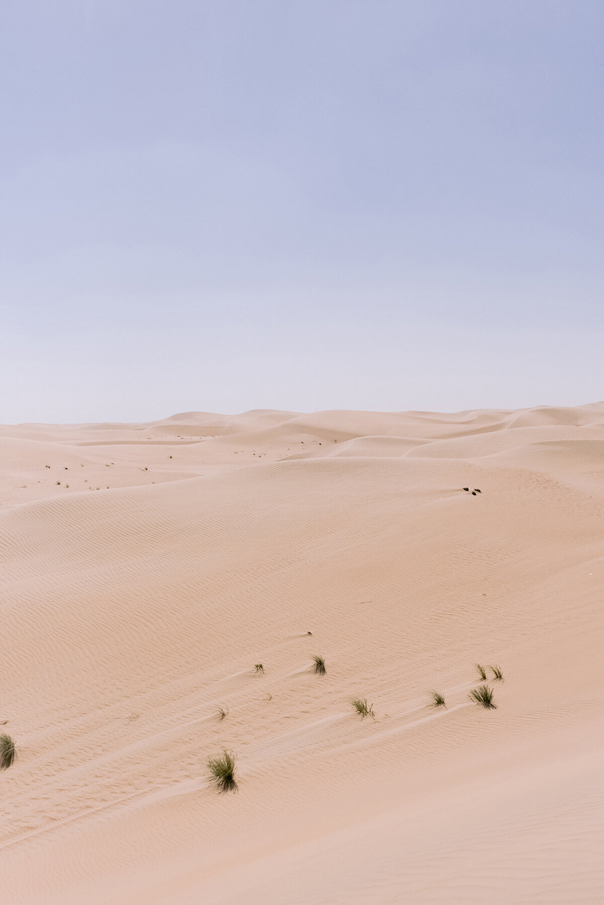 Michelle Norwood Living - Luxury Travel Inspiration - Dubai - elisabricker-3364