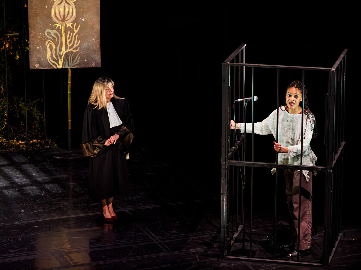 ROBIN  TPV_2130276-2-Enhanced-NR