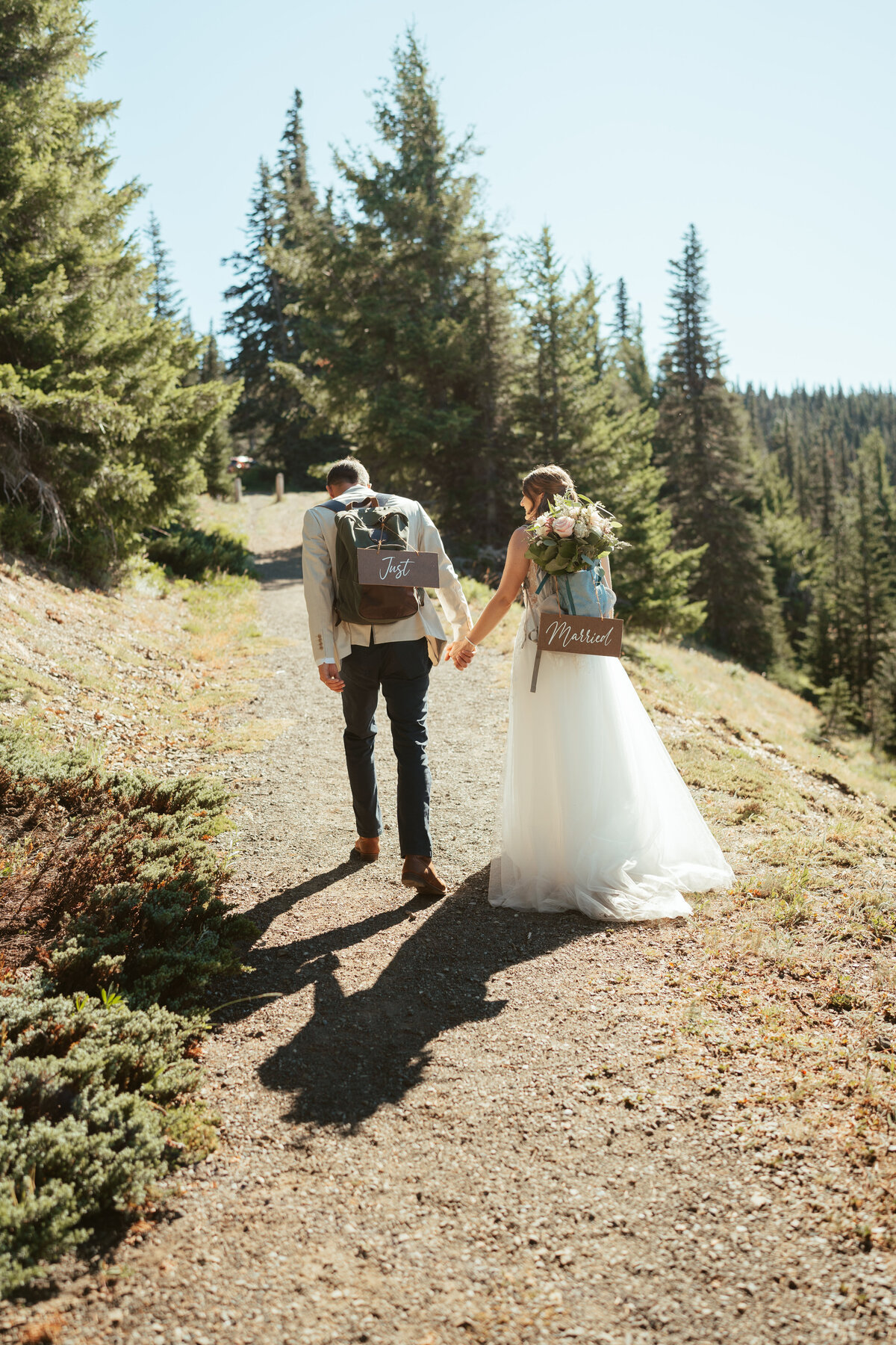 amy_travis_elopement_olympicnationalpark464