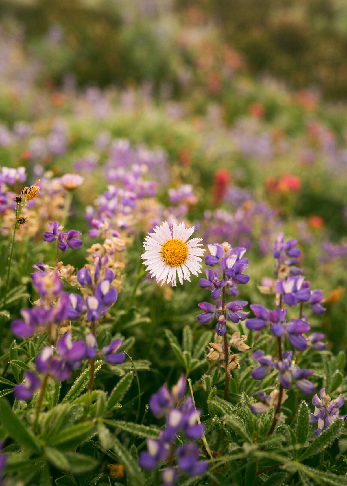 KEB_0620