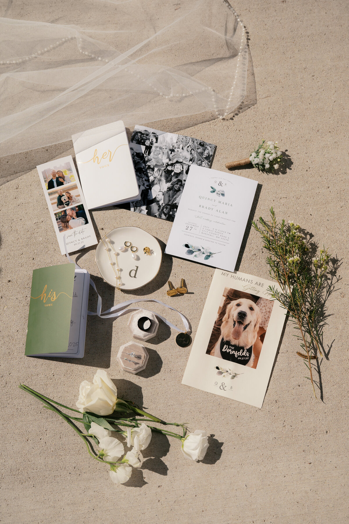 Quincy-and-Brady-Previews-6