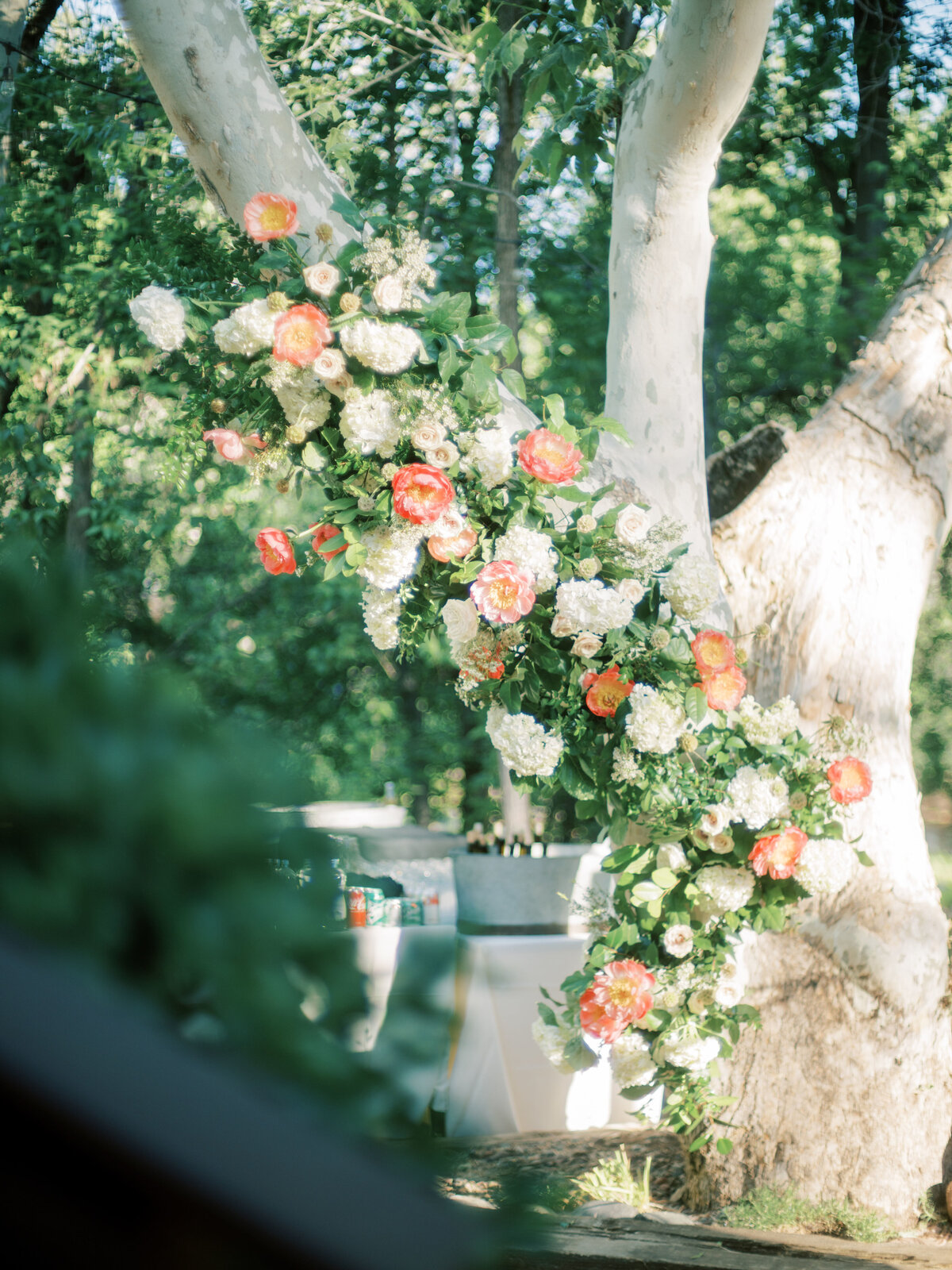 Ashley Rae Photography-05003