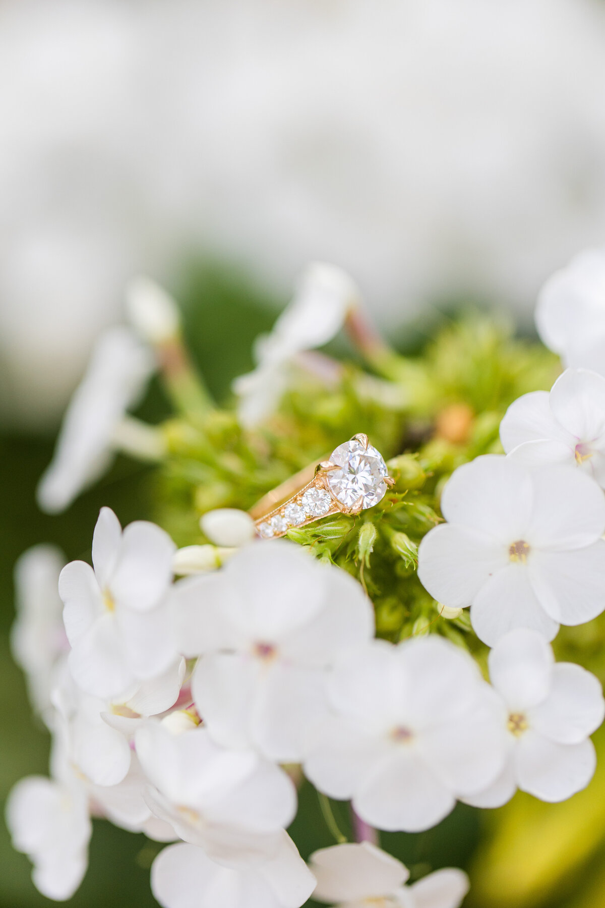 gold engagement ring shot with white flowers