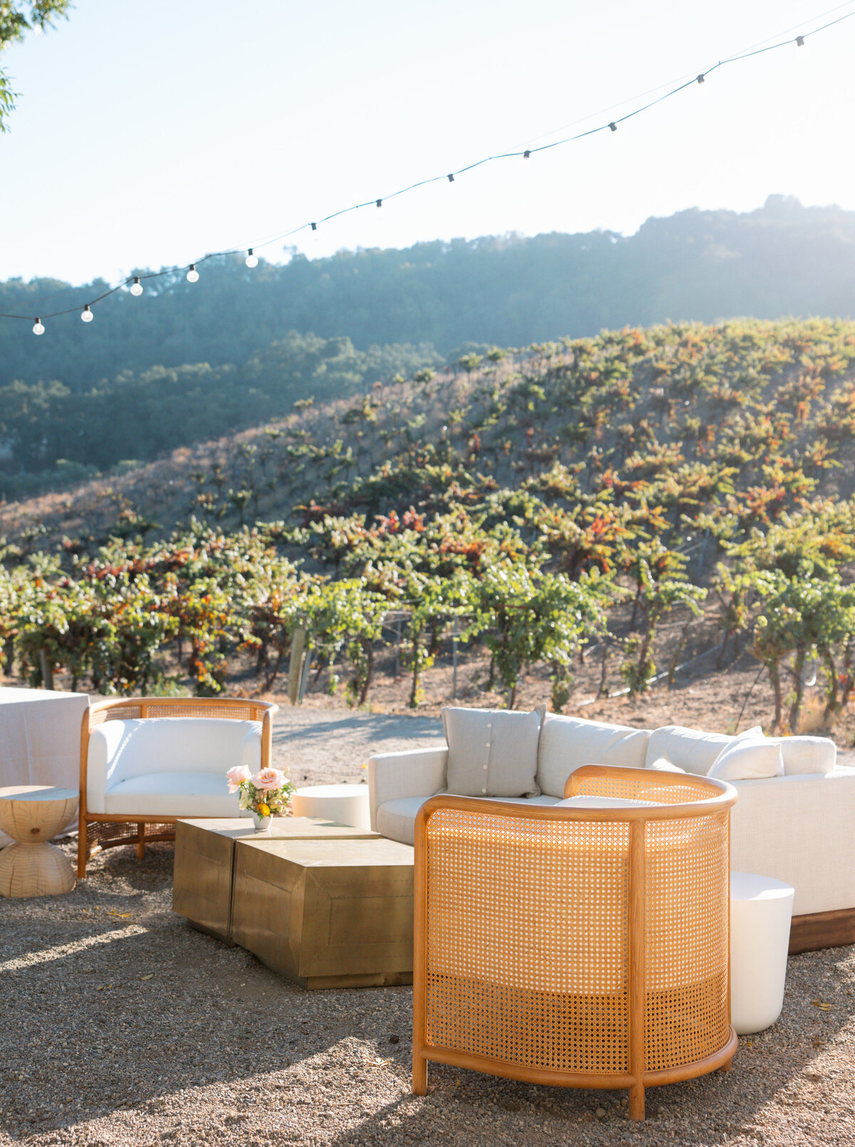 Hammersky_Vineyards_Paso_Robles_Wedding_071