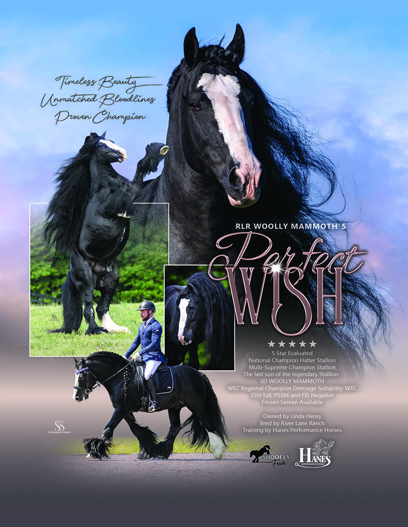 WISH-LindaHenry-2025 The Vanner Magazine-8.25x10.75 Fullpg-RGB