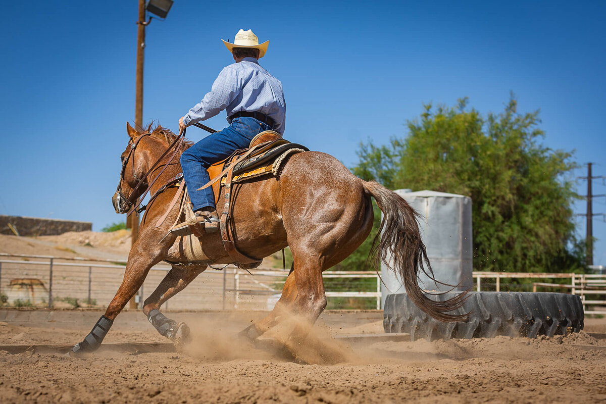 El-Paso-Texas-Horse-Show-Photographer-078