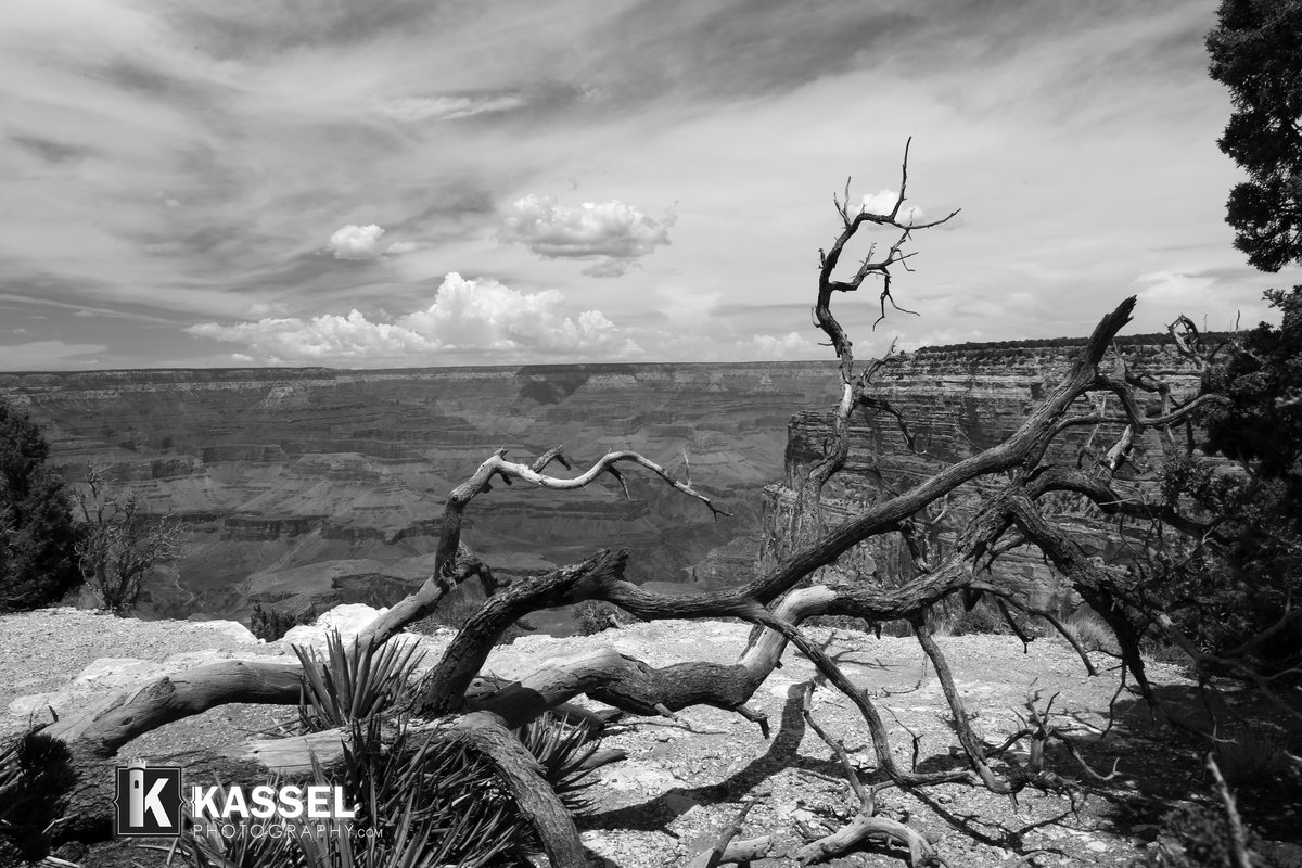 Kassel,Grand Canyon. Black n white photography by Kassel Photography