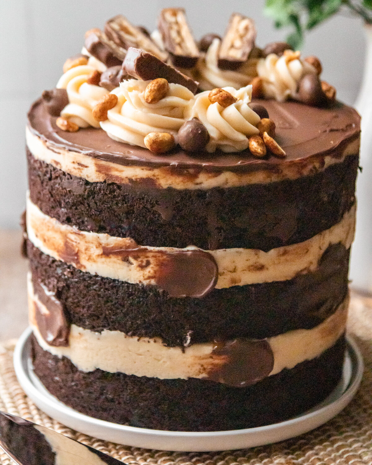 bite this cake-1