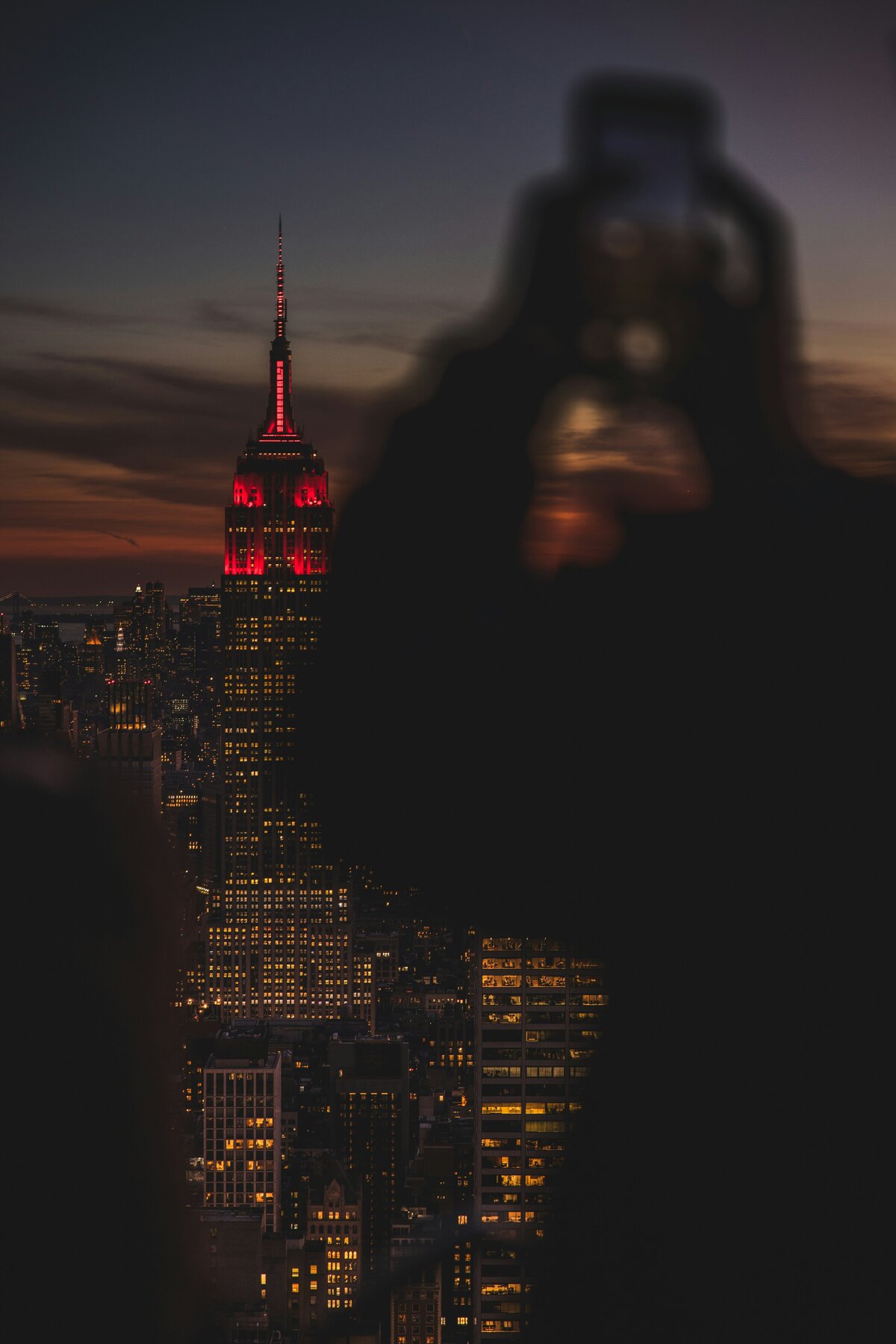 chalo-gallardo-D5qeBMF3OXE-unsplash