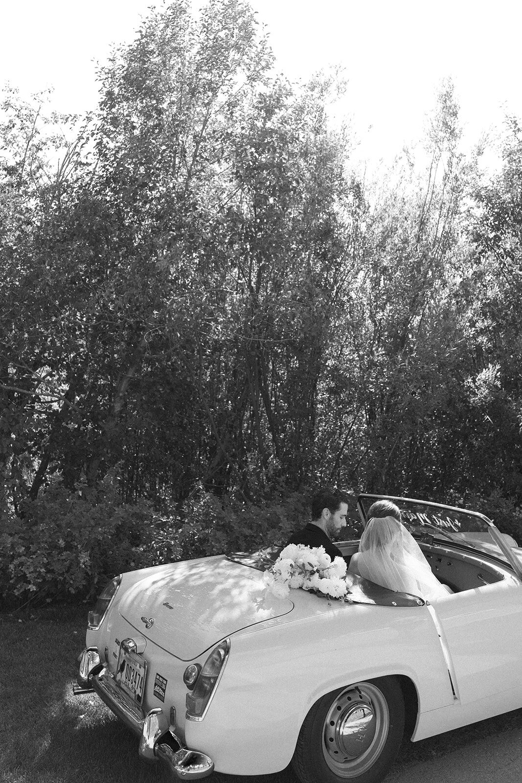 Isabelle + Renic_Wedding-228