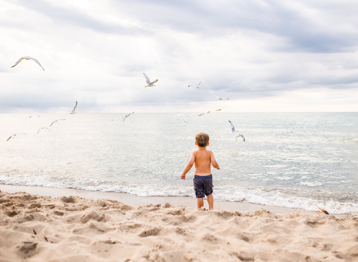 A young boy enjoys the beach while seagulls soar above him in this serene coastal scene