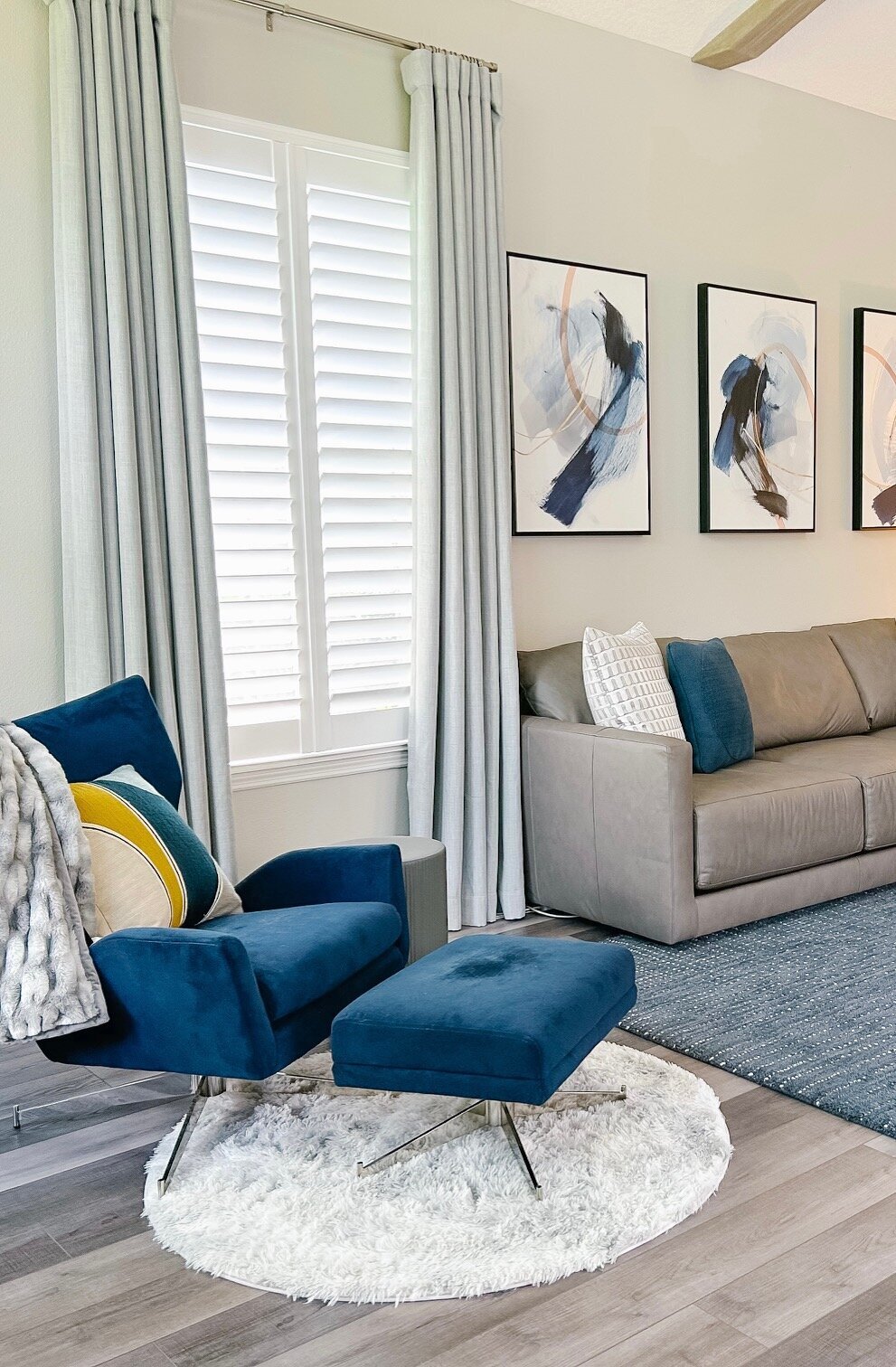 sally-barton-interiors-lithia-florida-modern-living-room