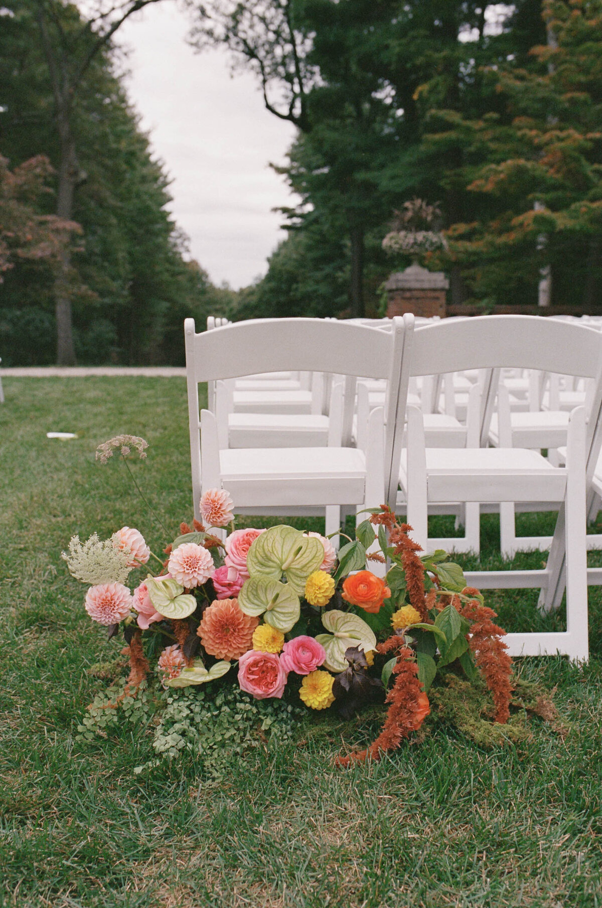 christina-clark-film-sneaks-3