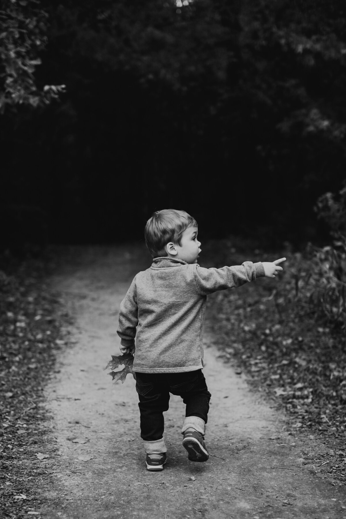 little boy pointing walking on path