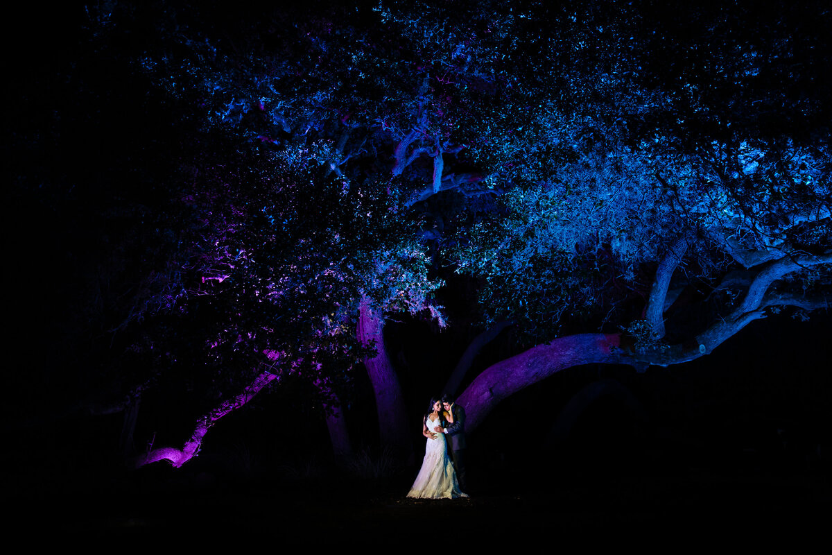 Night Time Bride and Groom Portrait at Remi's Ridge at Hidden Falls
