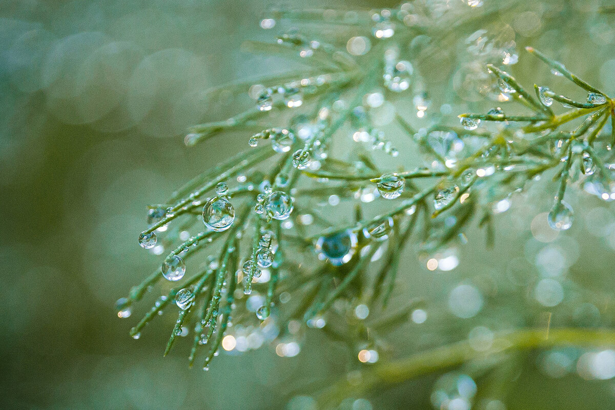 DITLMacro7-6