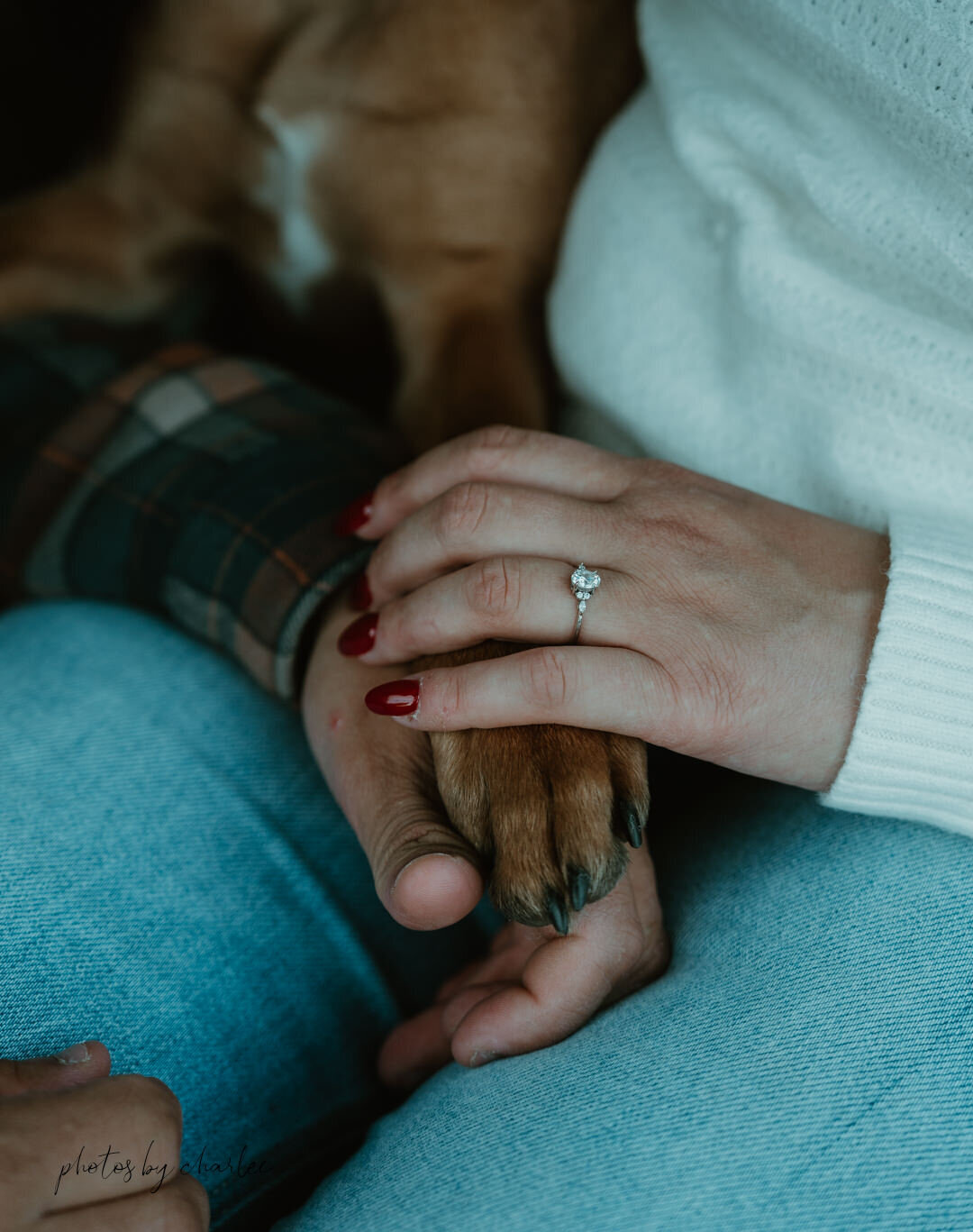eau claire engagement photographer-29