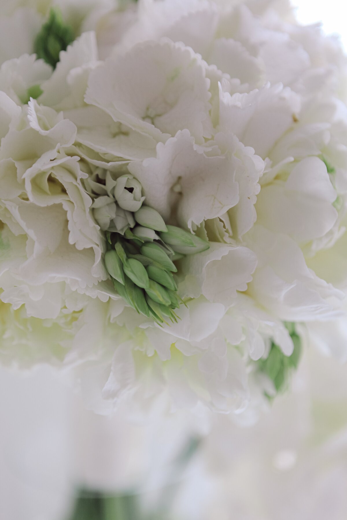 AbieLivesayPhotography-PositanoItalyWeddingPhotographer-VillaLighea-AmalfiWedding-19