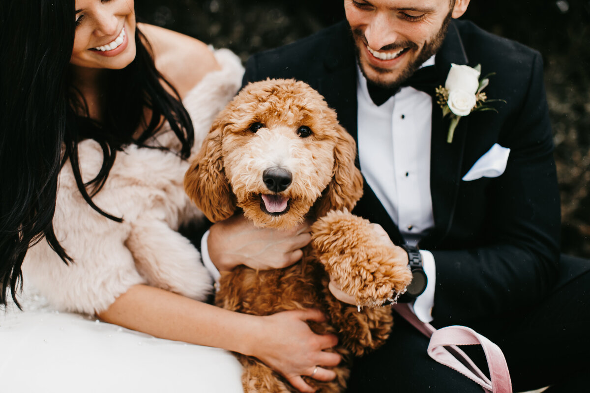 bride and groom laughing  with dog on wedding day
