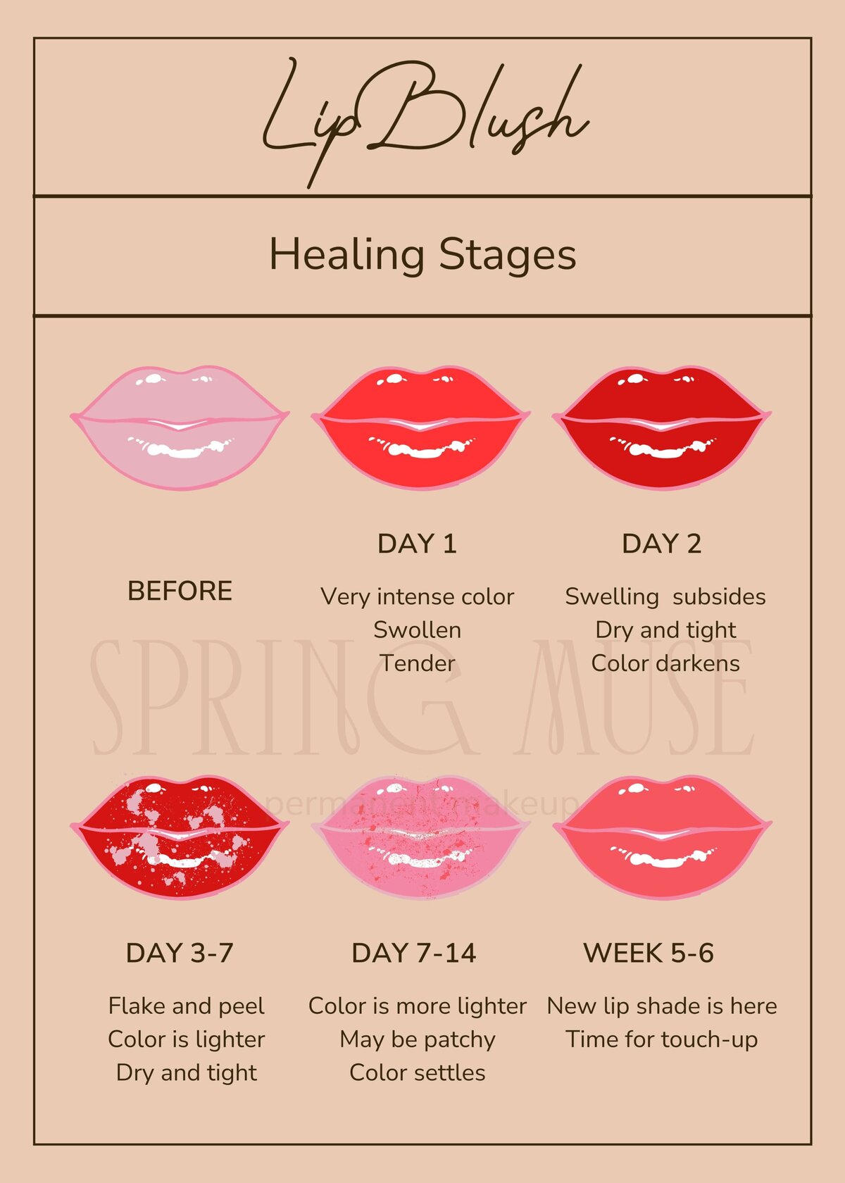 Lip Blush Healing Process Day By Day