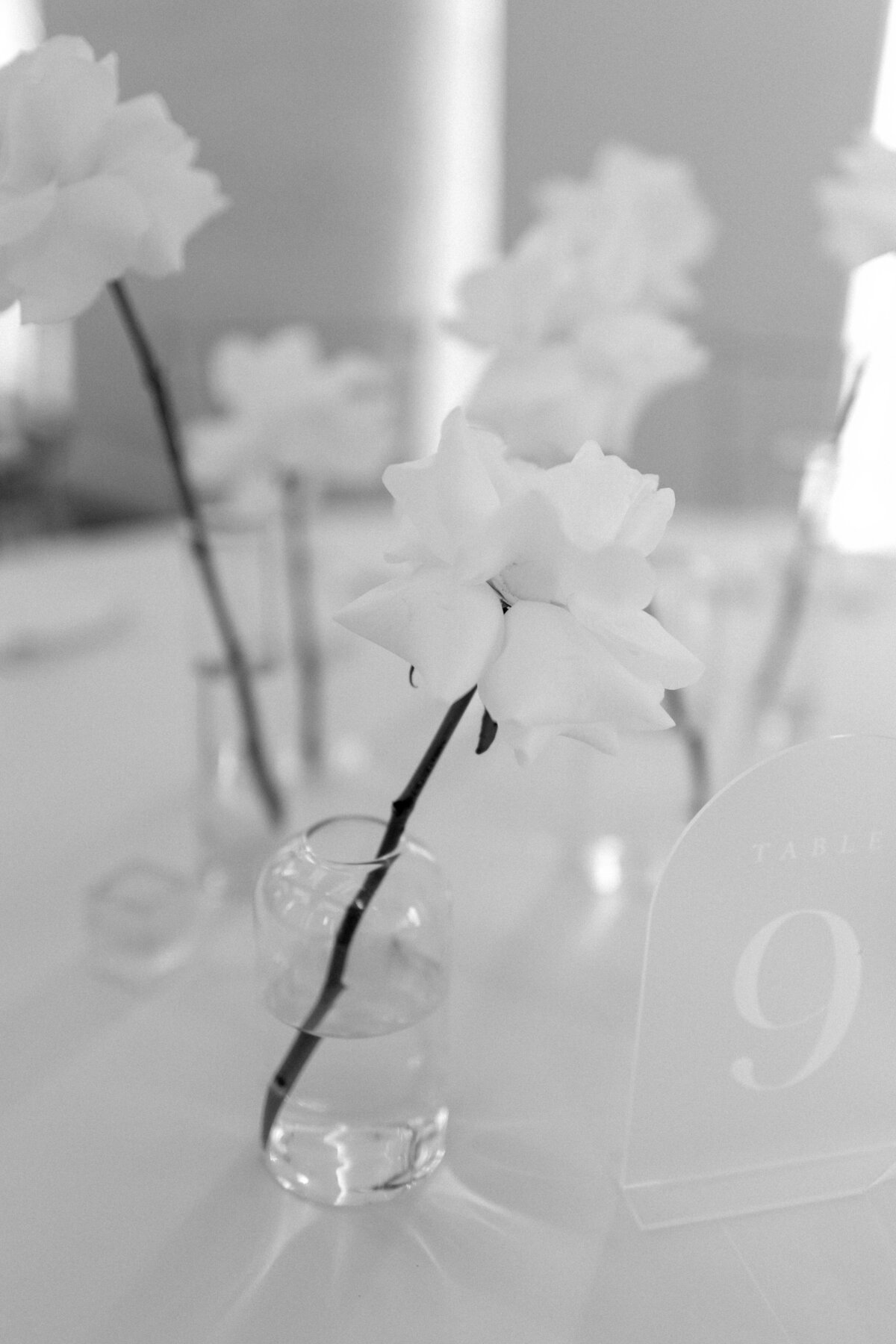 Florida-Wedding-Photographer-37