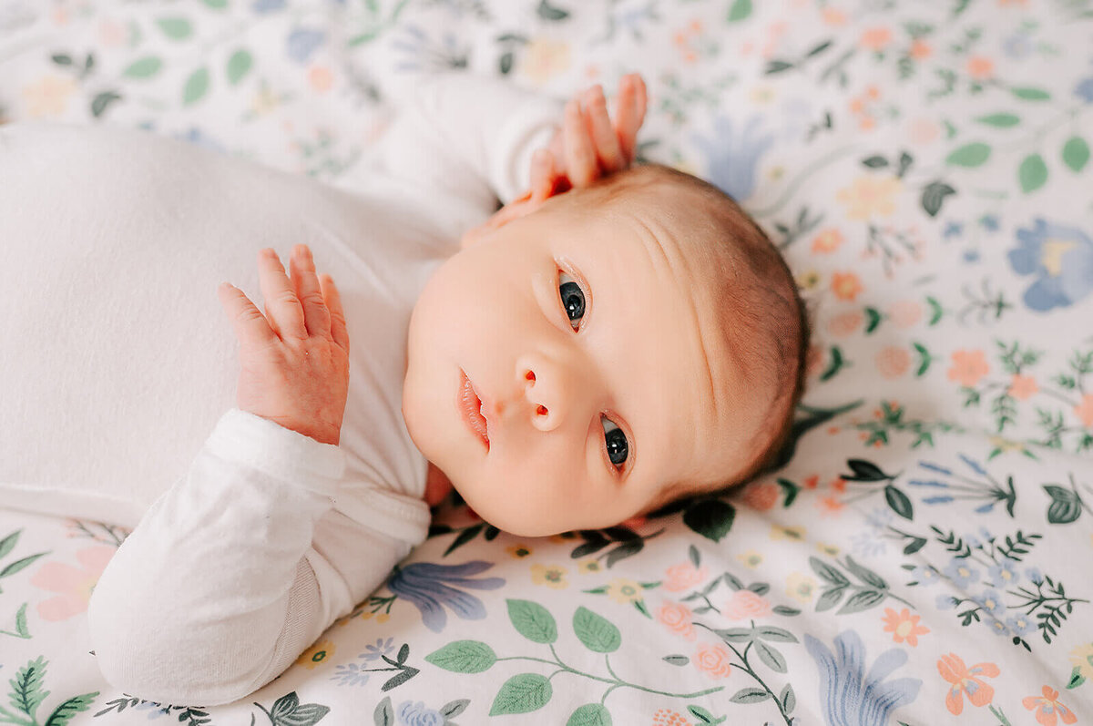 greensboro lifestyle newborn photographer-85