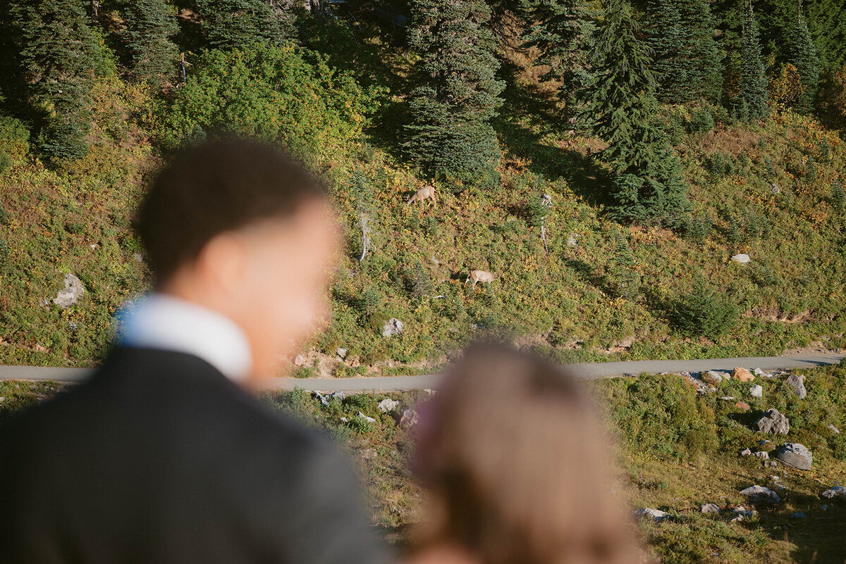 09-19-25_Mallory&Andile_PRPLLC-691