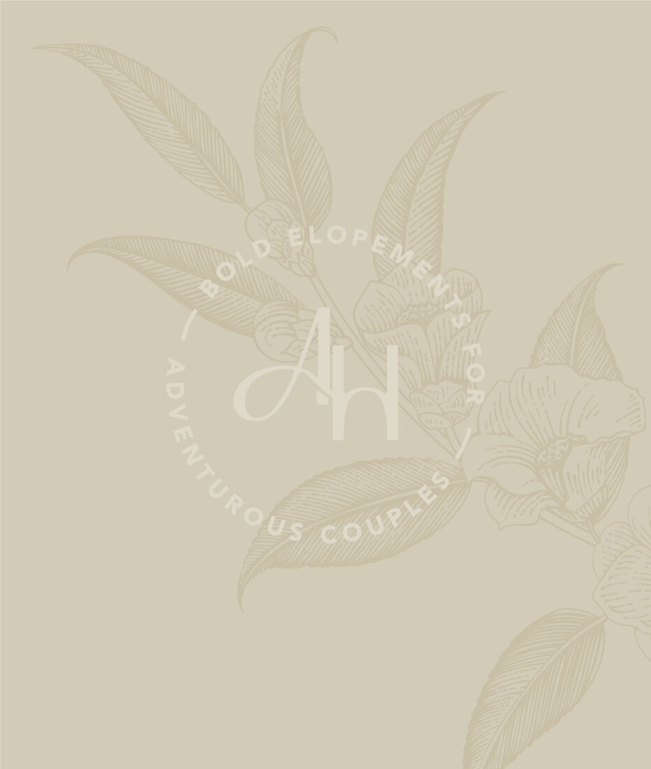 Anna Holden - double alt logo feature Right-100