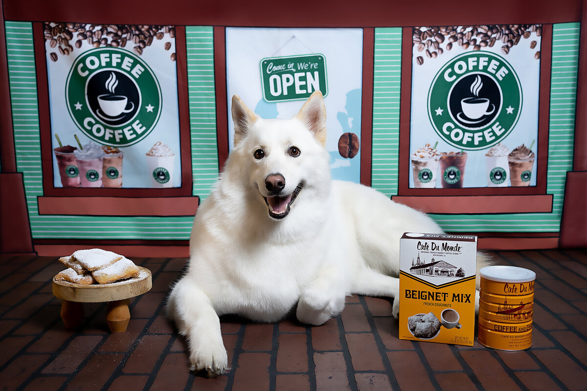 New Orleans Pet Photographer 76